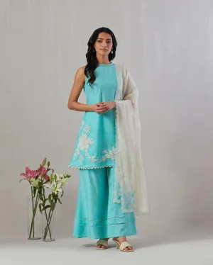 A line Kurta with flared pants