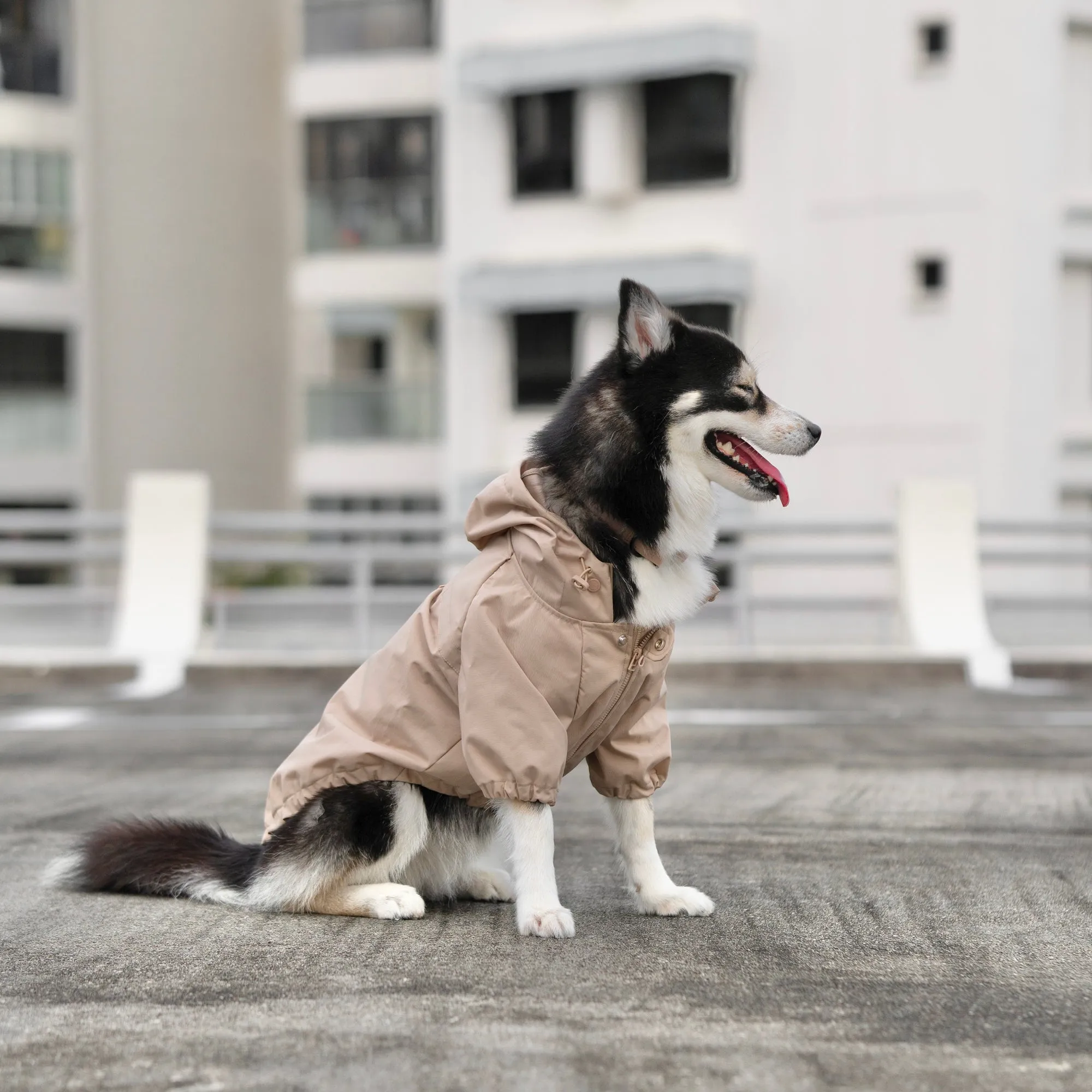 brooklyn rain jacket - camel