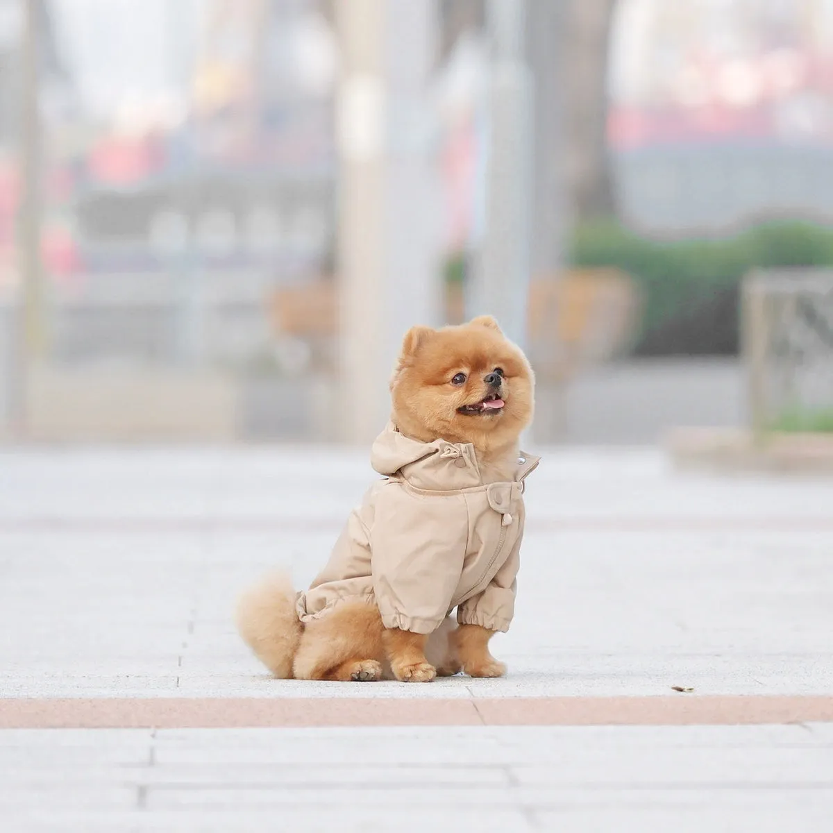 brooklyn rain jacket - camel