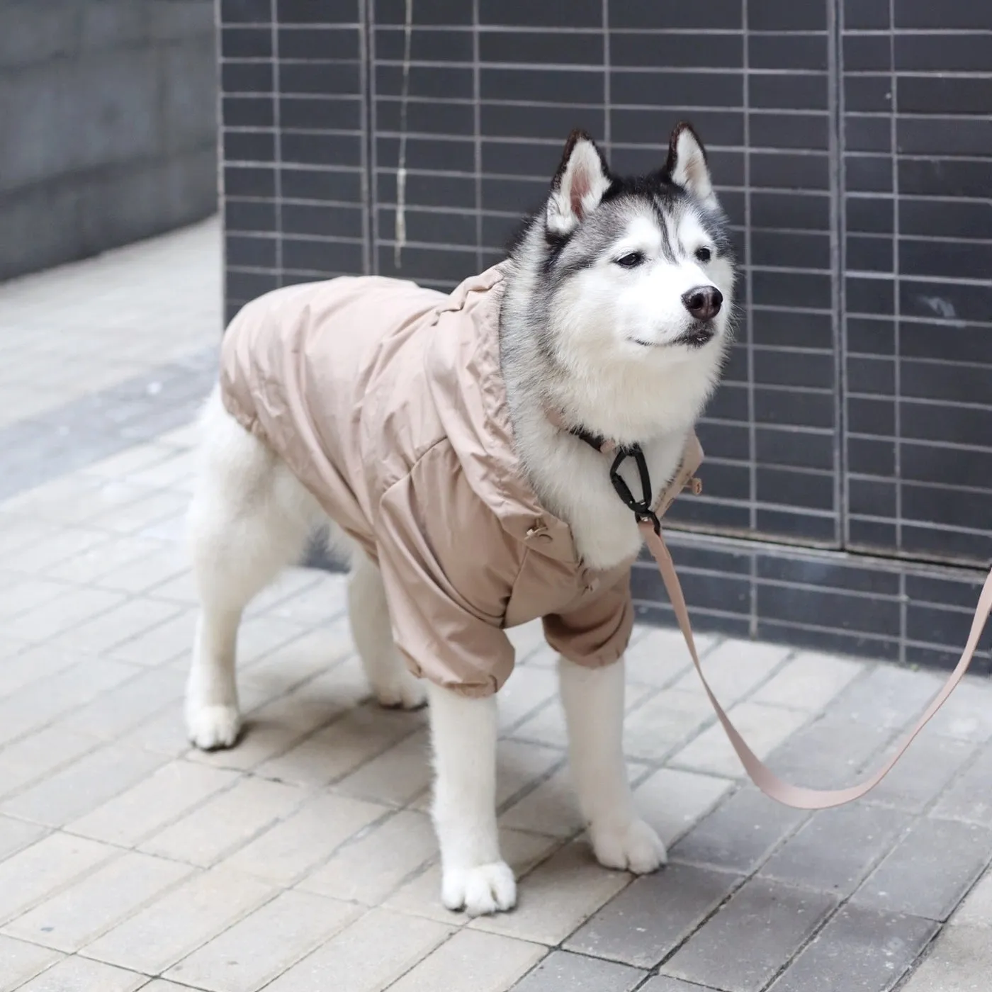 brooklyn rain jacket - camel