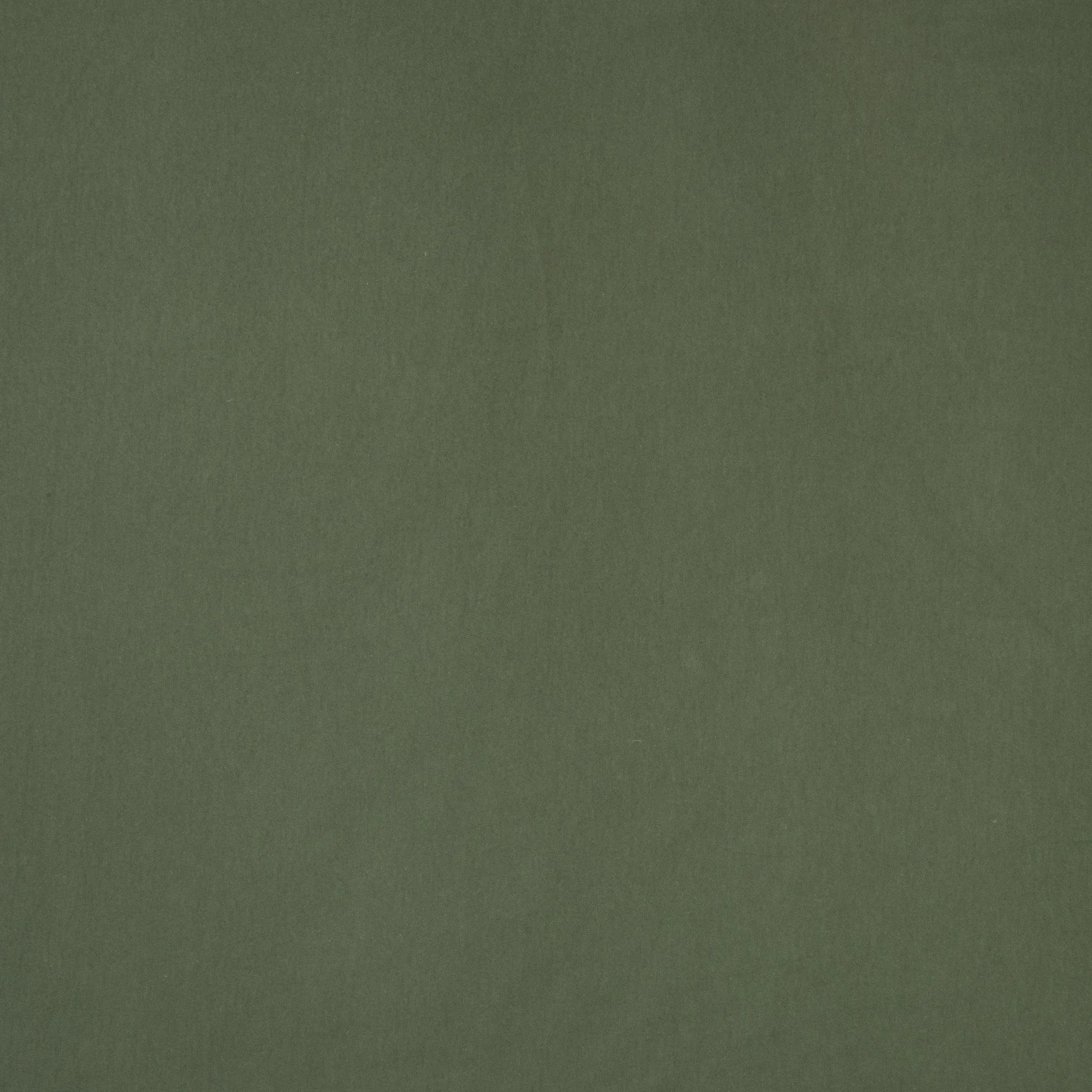 Cotton Knit Plain Olive