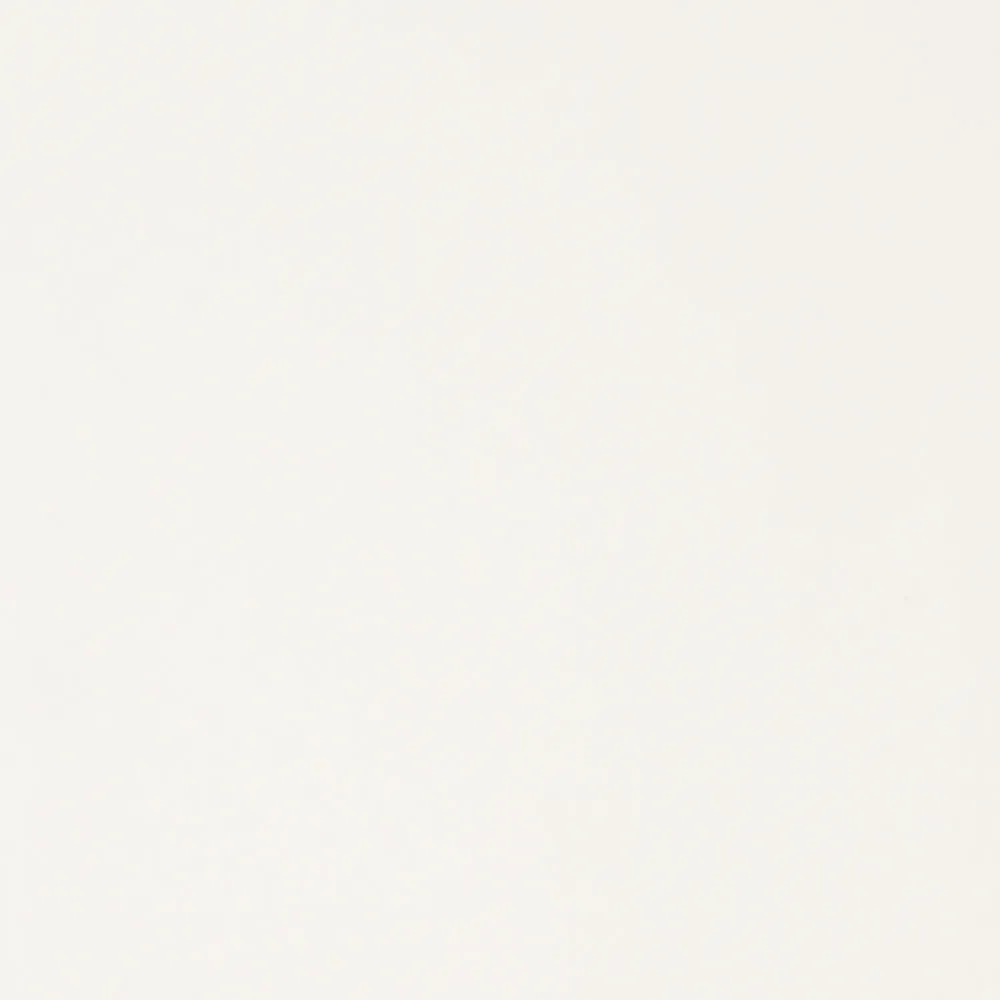 Cotton Lycra Winter White