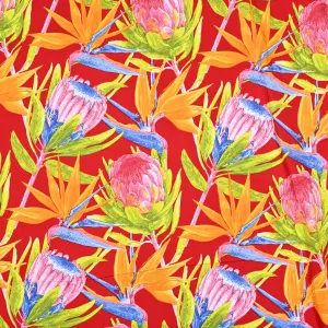 Printed Mini Matt Protea & Strelitzia Red